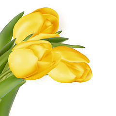 Image showing Yellow flowers isolated on white. EPS 10 
