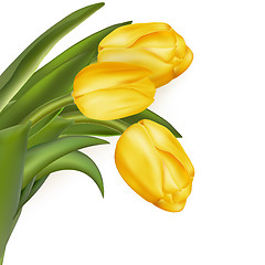 Image showing Bouquet of yellow tulips. EPS 10