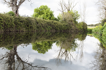 Image showing Lush riverbank