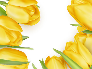 Image showing Yellow fresh tulips on white. EPS 10