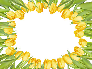 Image showing Yellow fresh tulips on white. EPS 10