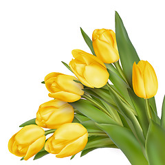 Image showing Bouquet of yellow tulips. EPS 10