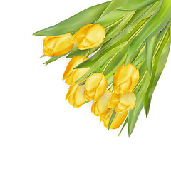 Image showing Bouquet of yellow tulips. EPS 10