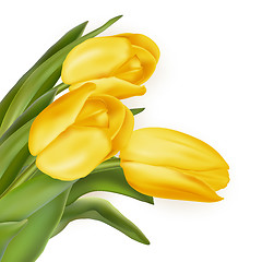 Image showing Tulips decorative background. EPS 10