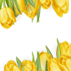 Image showing Yellow flowers isolated on white. EPS 10 