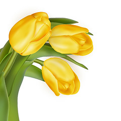 Image showing Bouquet of yellow tulips. EPS 10