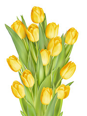 Image showing Bouquet of yellow tulips. EPS 10