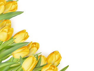 Image showing Yellow flowers isolated on white. EPS 10 