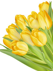 Image showing Bouquet of yellow tulips. EPS 10