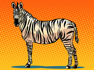 Image showing African Zebra animal