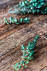 Image showing Green thyme sprig