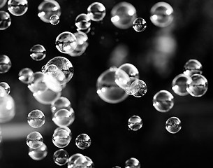 Image showing Soap bubbles