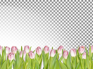 Image showing Spring seamless border background. EPS 10