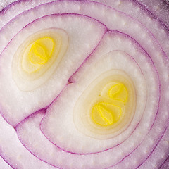 Image showing Red onion (background)