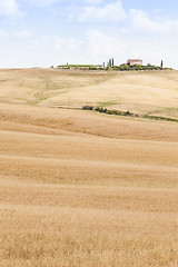 Image showing Countryside in Tuscany