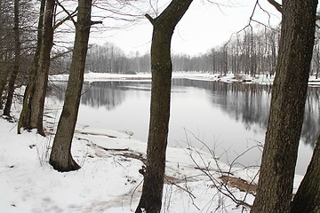 Image showing  River in a winter landscape