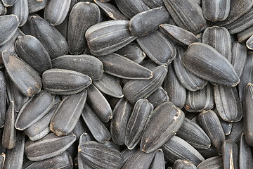 Image showing  sunflower seeds  macro