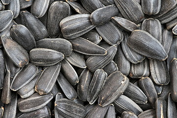 Image showing  bunch of sunflower seeds