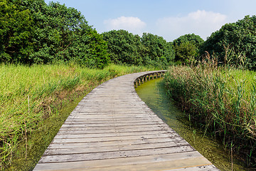 Image showing Small bridge through a river 