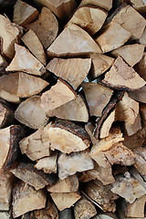 Image showing  Wood pile