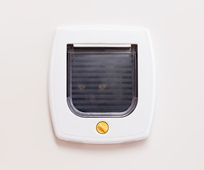 Image showing Inside view of a regular white cat flap, cat comming through