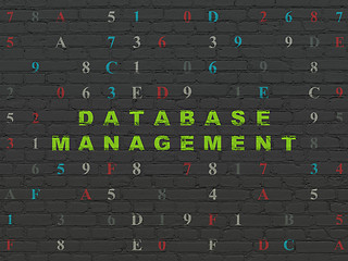 Image showing Software concept: Database Management on wall background
