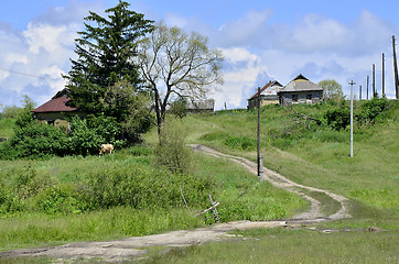 Image showing Rural summer landscape with the image of the old village