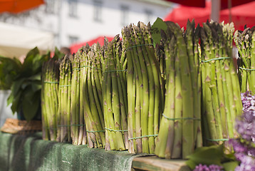 Image showing Asparagus