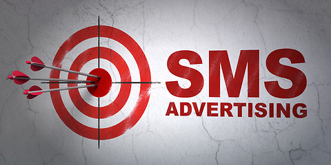 Image showing Advertising concept: target and SMS Advertising on wall background