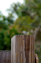 Image showing fence post top