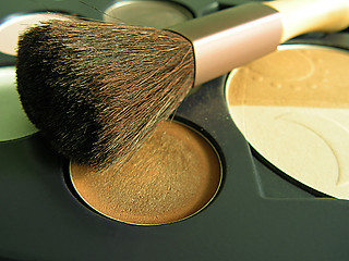 Image showing Makeup