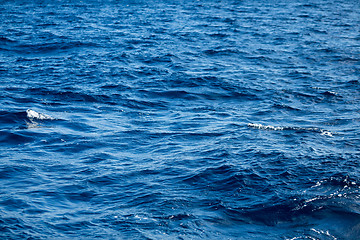 Image showing Blue ocean