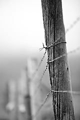 Image showing barbed wire fence post