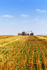 Image showing  agricultural field   cleaning
