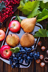 Image showing autumn fruits 