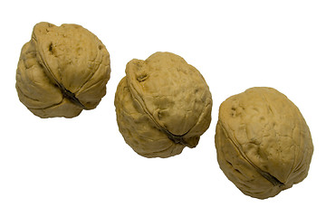 Image showing tree walnuts