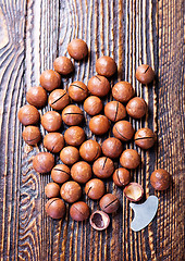 Image showing macadamia