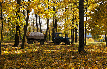 Image showing cleaning of foliage in park  