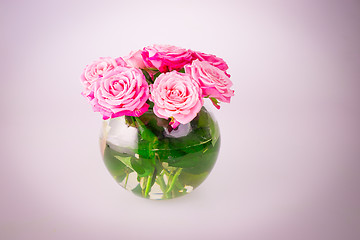 Image showing The beautiful pink rose flowers in a vase 