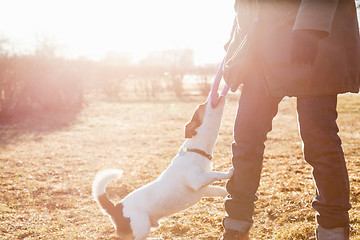 Image showing Woman playing with dog