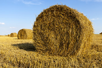 Image showing haystacks straw , cereal