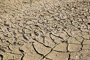 Image showing cracked earth field 