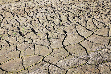 Image showing cracked earth in the field    