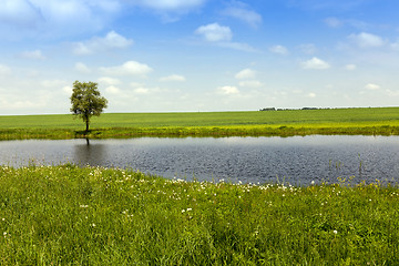 Image showing small lake, spring 