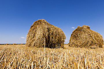 Image showing haystacks straw, clcoseup