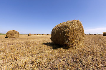 Image showing Stack of straw 