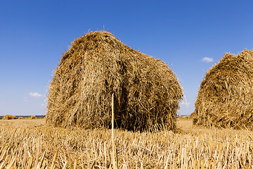 Image showing two bales of hay  