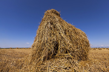 Image showing stack of straw in the field  