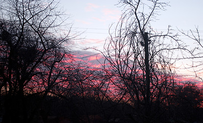 Image showing evening clouds of red color