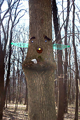Image showing ade by face on the tree